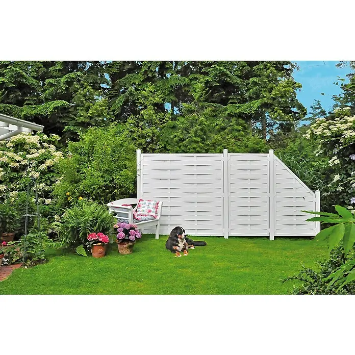 T & J Lightline Sichtschutzelement Lamellen - 180 x 180 cm, Weiß - Ein Garten mit einem weißen Sichtschutzzaun, einer Bank mit Kissen und einem Hund, der auf dem Rasen liegt.
