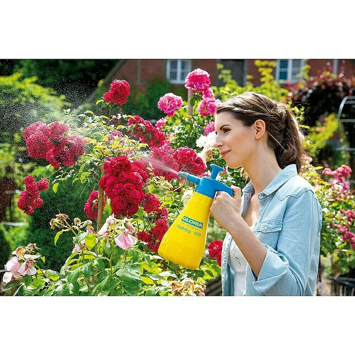 Gloria Drucksprühgerät Hobby 100 mit verstellbarer Düse - 1 l - Gloria Hobby 100 Drucksprühgerät im Einsatz.