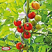 Bellissa Tomatenspirale (Länge: 150 cm, Durchmesser: 7 mm, Silber)