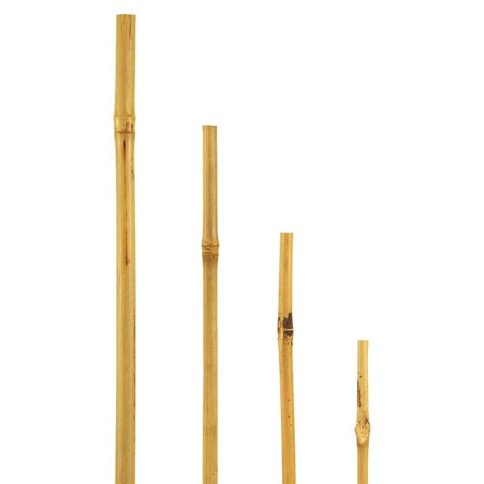Bellissa Štap od bambusa  () | BAUHAUS