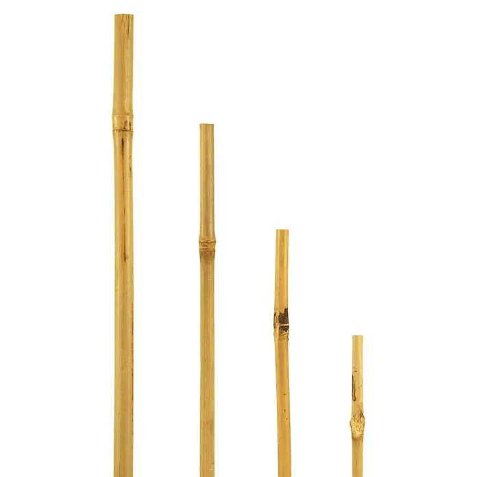 Bellissa Bambusstab - Ø x L: 1,2 x 180 cm - Nahaufnahme eines Bambusregals, das die natürliche Textur und die warme Farbe des Materials hervorhebt.