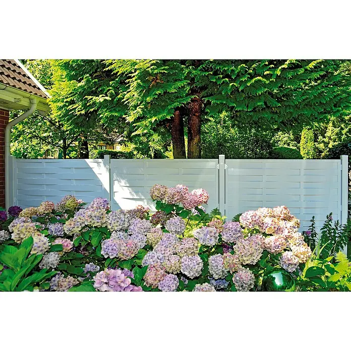 T & J Lightline Sichtschutzelement Lamellen - 180 x 180 cm, Weiß - Eine Nahaufnahme eines weißen, dekorativen Gartenzauns, der von üppigen Hortensien und grünen Pflanzen umgeben ist.