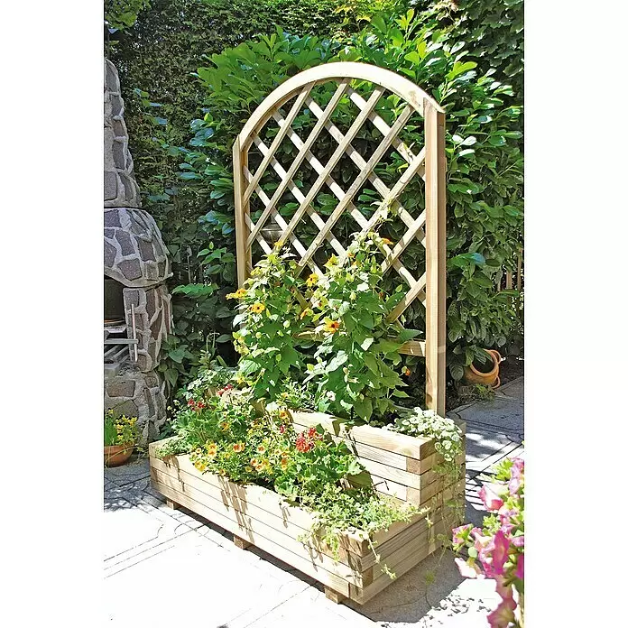 T & J Rankgitter Willi - 90 x 140 cm, Braun, Holz - Heller Holz-Pflanzkasten mit gewölbtem Spalier, gefüllt mit bunten Blumen und Grünpflanzen in einer Gartenumgebung.