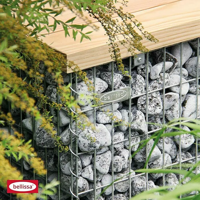 Bellissa Gartenbank-GabioneL x B x H: 155 x 56 x 54 cm - Nahaufnahme einer Bellissa Gabione, gefüllt mit dekorativen, weißen Steinen und einem Holzdeckel, umgeben von grüner Vegetation.