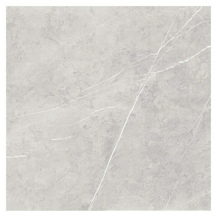 Feinsteinzeugfliese Ciana Grey (60 x 60 cm, Grau, Glänzend) | BAUHAUS