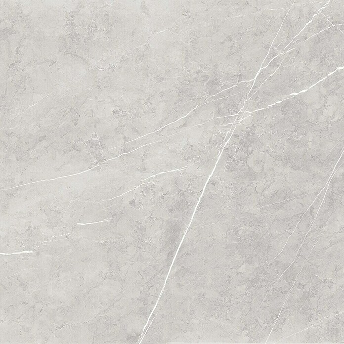 Feinsteinzeugfliese Ciana Grey (60 x 60 cm, Grau, Glänzend)