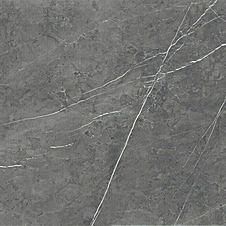 Feinsteinzeugfliese Ciana Mist (60 x 60 cm, Anthrazit, Glänzend)