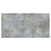 Feinsteinzeugfliese Luna Gris (120 x 240 cm, Grau, Schimmernd) | BAUHAUS