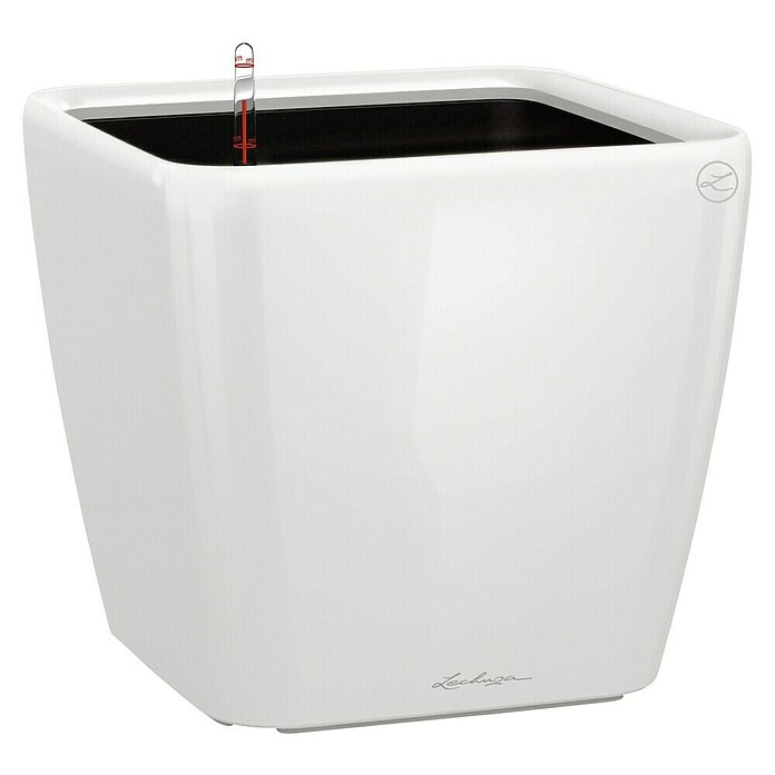 Lechuza Pflanzkasten Quadro Premium (Außenmaß (L x B x H): 28 x 28 x 26 cm, Kunststoff, Weiß) | BAUHAUS