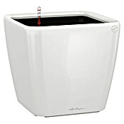 Lechuza Pflanzkasten Quadro Premium (Außenmaß (L x B x H): 28 x 28 x 26 cm, Kunststoff, Weiß) | BAUHAUS