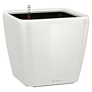 Lechuza Pflanzkasten Quadro Premium (Außenmaß (L x B x H): 28 x 28 x 26 cm, Kunststoff, Weiß)