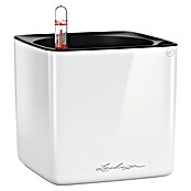 Lechuza Kräuterkasten Cube Glossy (Außenmaß (L x B x H): 14 x 14 x 13,5 cm, Kunststoff, Weiß, Glänzend) | BAUHAUS