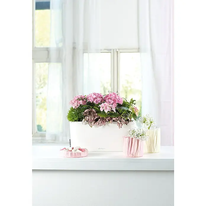 Lechuza Pflanzkasten Delta - Außenmaß (L x B x H): 40 x 15 x 18 cm, Kunststoff, Weiß - Blumenarrangement mit rosa Hortensien in einem weißen Lechuza-Pflanzgefäß, ergänzt durch dekorative Vasen und Accessoires auf einer Fensterbank.