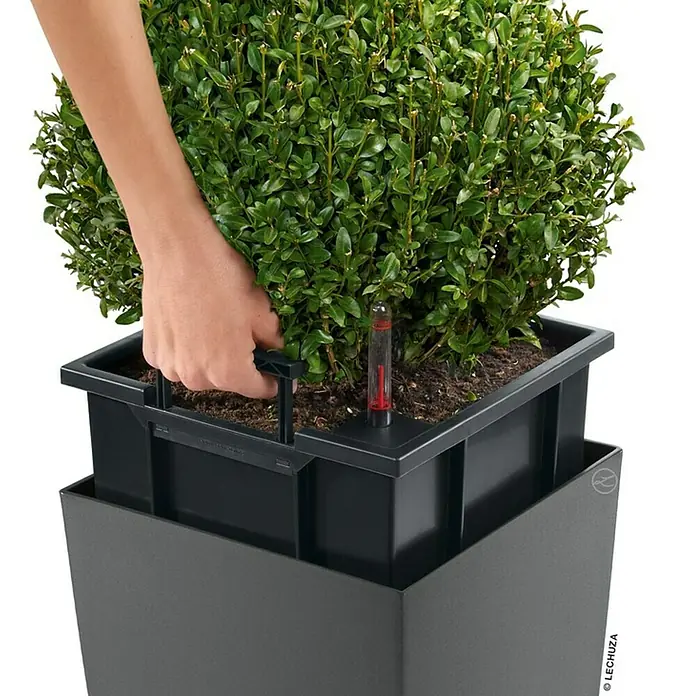 Lechuza Pflanzsäule eckig Cubico Premium - Außenmaß (L x B x H): 29,5 x 29,5 x 56,5 cm, Kunststoff, Anthrazit Metallic - Eine Lechuza Pflanze mit einer Hand, die den Wasserstandsanzeiger bedient.