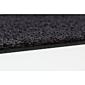 Astra Schmutzfangmatte Proper Tex (Uni, Schwarz, 60 x 180 cm, Material Nutzschicht: 100 % Polyamid)