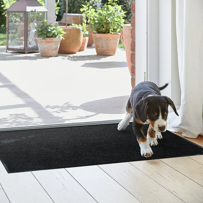 Astra Schmutzfangmatte Proper Tex - Schwarz, 60 x 180 cm, Material Nutzschicht: 100 % Polyamid - Eine Schmutzfangmatte in Anthrazit liegt im Eingangsbereich, während ein Hund darüber läuft. Ideal für Sauberkeit.