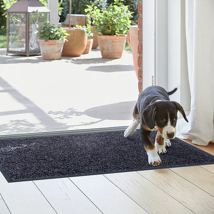 Astra Schmutzfangmatte Proper Tex - Blaugrau, 250 x 90 cm, Material Nutzschicht: 100 % Polyamid - Eine schmutzabweisende Fußmatte in Anthrazit liegt im Eingangsbereich, während ein süßer Hund darauf steht.