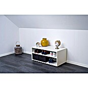 Room Plaza Easy Doing Regal (1.000 x 500 x 421 mm, Weiß) | BAUHAUS