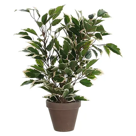 Kunstpflanze Ficus Natasja