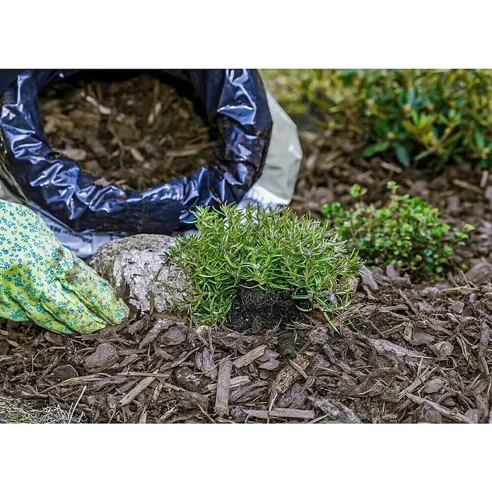 Rindenmulch grob - 0 mm - 40 mm, 40 l - Eine grüne Gartenhandschuhe, eine frische Pflanze und eine geöffnete Tüte Mulch auf einem Beet. Gartenarbeit leicht gemacht mit allem Nötigen.
