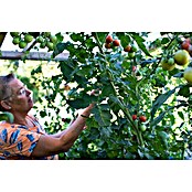 Gardol Pure Nature Tomaten- & Gemüseerde (20 l)