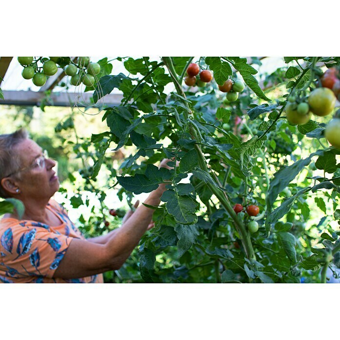 Gardol Pure Nature Tomaten- & Gemüseerde20 l Mood Shot