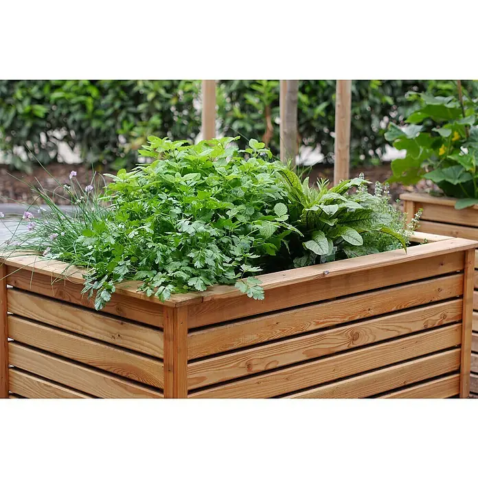 Gardol Pure Nature Pflanzerde Hochbeeterde - 40 l, Torffrei - Holzpflanzgefäß mit üppigen Kräutern und Pflanzen. Das natürliche Holzdesign ergänzt das Grün und schafft eine rustikale Note für jeden Garten.