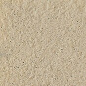 SAS Domus Spa Beckenrandstein-Set (L x B x S: 60 x 30 x 3,5 cm, Geeignet für: Pools, Material: Beton, Farbe: Crema) | BAUHAUS