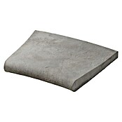 SAS Domus Beckenrandstein-Set (B x S: 40 x 6,5 cm, Geeignet für: Pools, Material: Beton, Farbe: Pirenos) | BAUHAUS