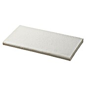 SAS Domus Spa Beckenrandstein-Set (L x B x S: 60 x 30 x 3,5 cm, Geeignet für: Pools, Material: Beton, Farbe: Weiß) | BAUHAUS