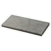 SAS Domus Spa Beckenrandstein-Set (L x B x S: 60 x 30 x 3,5 cm, Geeignet für: Pools, Material: Beton, Farbe: Pirenos) | BAUHAUS