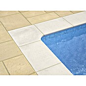SAS Domus Spa Beckenrandstein-Set (L x B x S: 60 x 40 x 3,5 cm, Geeignet für: Pools, Material: Beton, Farbe: Weiß) | BAUHAUS