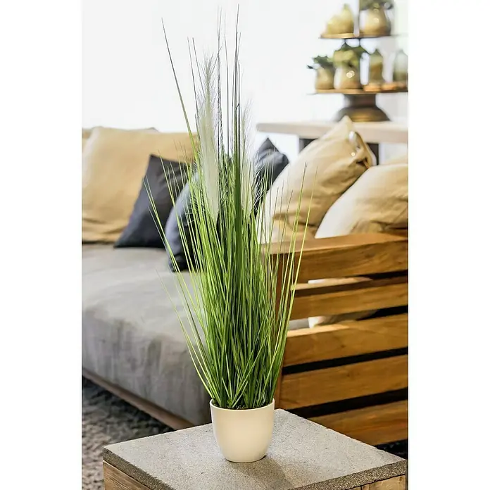 Kunstpflanze Grasarrangement - Höhe: 80 cm, Kunststoff - Dekorative Zimmerpflanze in einem weißen Topf, die auf einem Tisch neben einer Couch steht, bringt einen Hauch von Natur in den Raum.