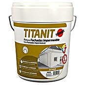 Titan Pintura para fachadas Titanit (Blanco, 4 l, Mate)