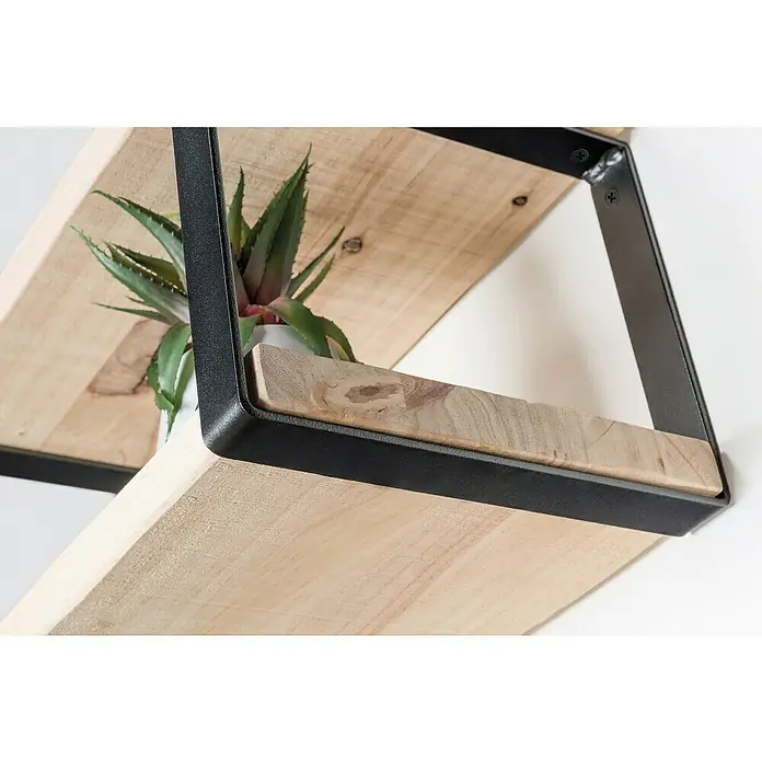 Rei Wandkonsole Pure - L x B x H: 261 x 211 x 30 mm, Belastbarkeit: 30 kg, Schwarz - Nahaufnahme eines schwebenden Regals mit Metallhalterung und einer Sukkulente darauf.