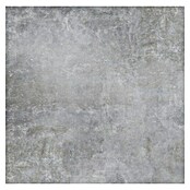 Feinsteinzeugfliese Luna Gris (60 x 60 cm, Grau, Glänzend) | BAUHAUS