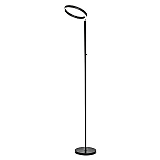 Lavida Ring LED-Stehleuchte (Höhe: 180 cm, Schwarz, Warmweiß)
