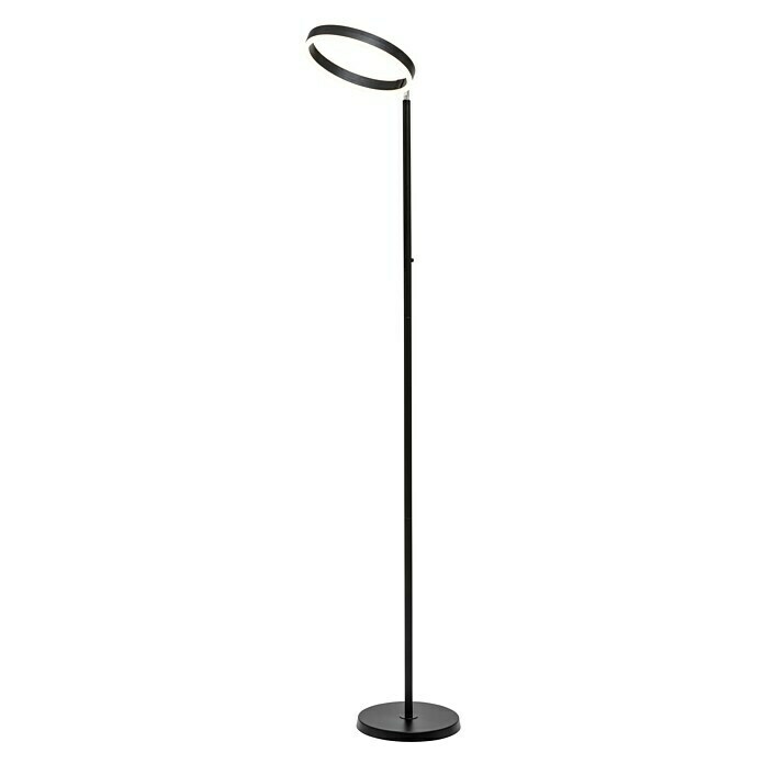 Lavida Ring LED-StehleuchteHöhe: 180 cm, Schwarz, Warmweiß Diagonal View