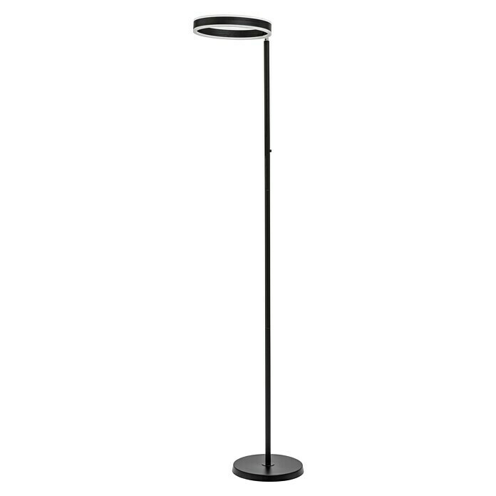 Lavida Ring LED-StehleuchteHöhe: 180 cm, Schwarz, Warmweiß Diagonal View