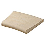 SAS Domus Beckenrandstein-Set (B x S: 40 x 6,5 cm, Geeignet für: Pools, Material: Beton, Farbe: Crema) | BAUHAUS