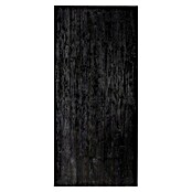 Indo Holzschiebetür Barn Door Charred Teak (100 x 215 cm, Teak, Geölt) | BAUHAUS