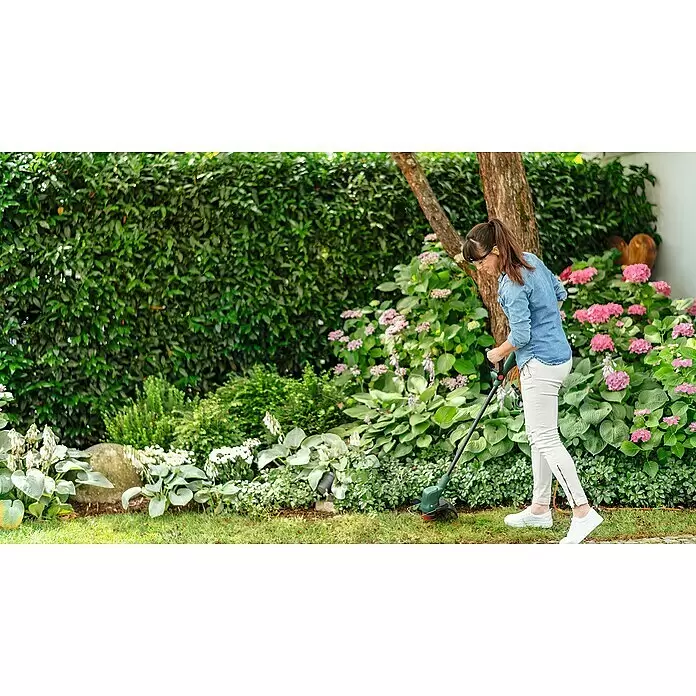 Bosch Elektro-Rasentrimmer EasyGrassCut 26 new - 280 W, Schnittbreite Faden: 26 cm - Anwendungsbeispiel