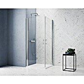 GEO Hit Pro Eckdusche B-PE100 (100 x 90 x 202,2 cm, Beschichtet, Chrom, Glasstärke: 6 mm) | BAUHAUS