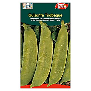 Euro Garden Semillas de vegetales Tirabeque (Tirabeque, Cosecha: Marzo)