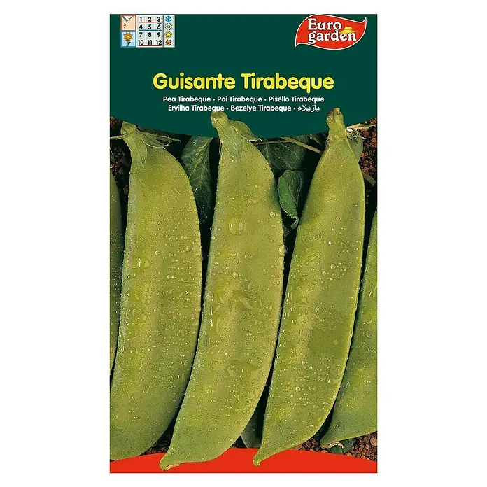Euro Garden Semillas de vegetales Tirabeque - Tirabeque, Cosecha: Marzo - Paquete de semillas de tirabeques "Guisante Tirabeque" de Euro Garden. La imagen muestra vainas de guisantes verdes frescos con gotas de agua.