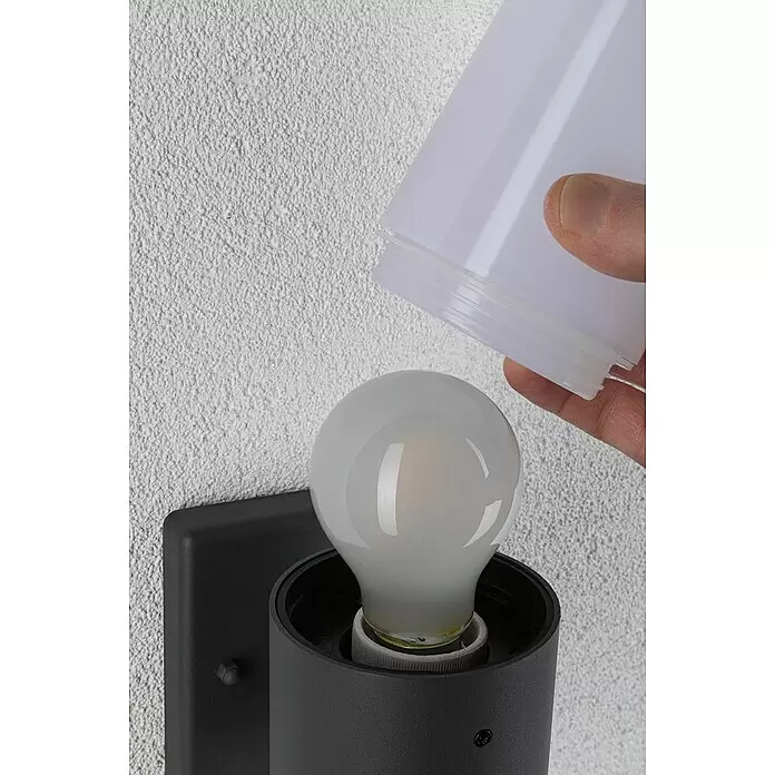 Paulmann Außenwandleuchte Tubs - 15 W, Grau matt, E27, IP44, Ohne Bewegungsmelder - Hand montiert eine weiße Diffusorabdeckung über einer Glühbirne in einer schwarzen zylindrischen Wandleuchte.