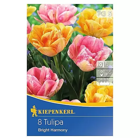 Kiepenkerl  Frühlingsblumenzwiebeln