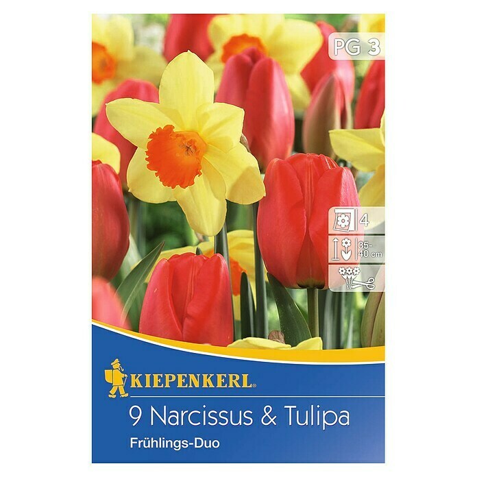 Kiepenkerl Frühlingsblumenzwiebel-Mix mit NarzissenTulipa & Narcissus Front View