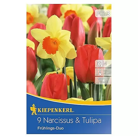 Kiepenkerl  Frühlingsblumenzwiebel-Mix mit Narzissen