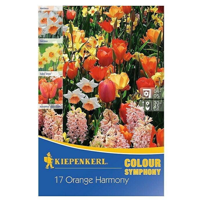 KIEPENKERL Mélange de fleurs 'Colour Symphony Orange Harmony'
